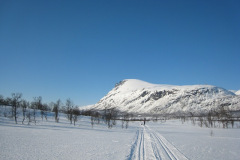 Revdalen